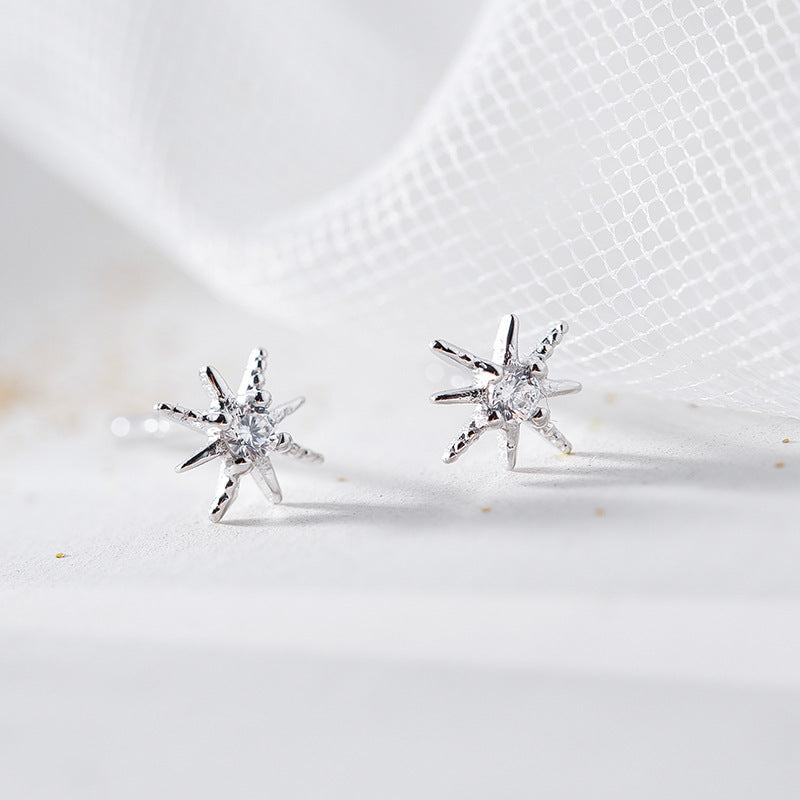 Women's Sterling Sier Korean Style Super Shiny Earrings