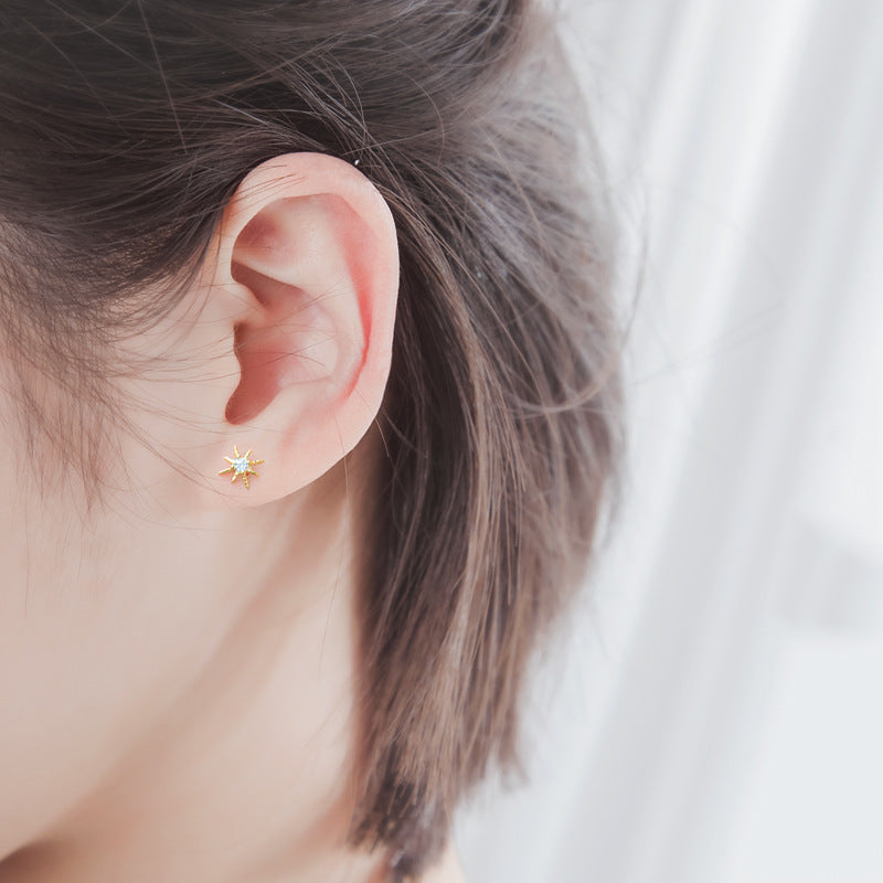 Women's Sterling Sier Korean Style Super Shiny Earrings