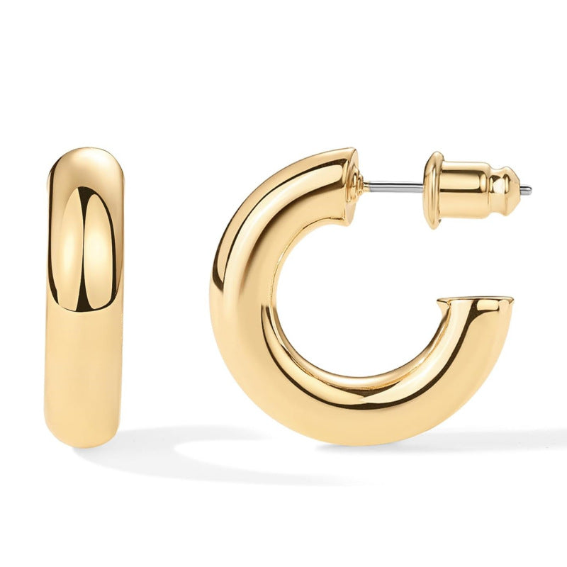 Women's Female High-grade Geometric Type Accessories Frosty Earrings
