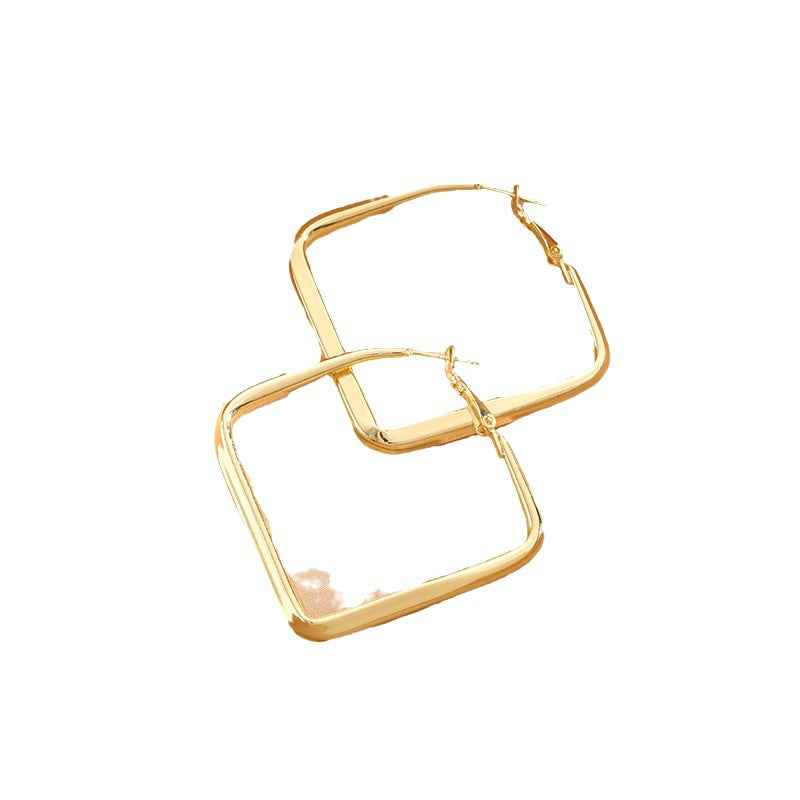 Sier Needle Square Light Luxury Temperament Earrings