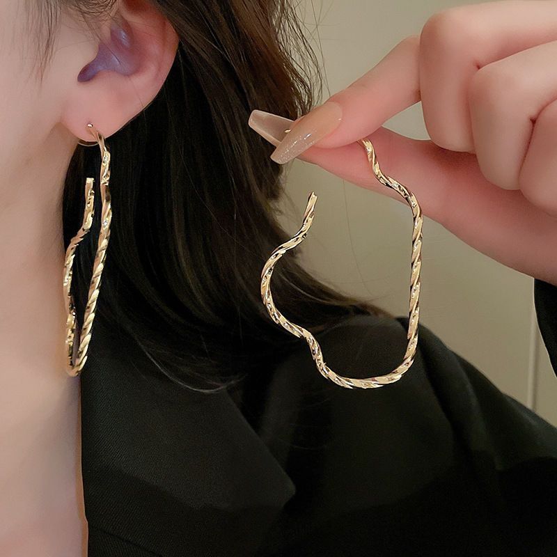 Sier Needle Metal Rhombus Niche Temperament Frosty Earrings