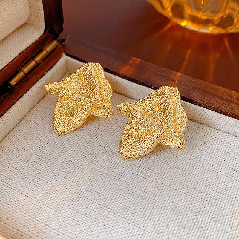 Sier Needle Metal Rhombus Niche Temperament Frosty Earrings