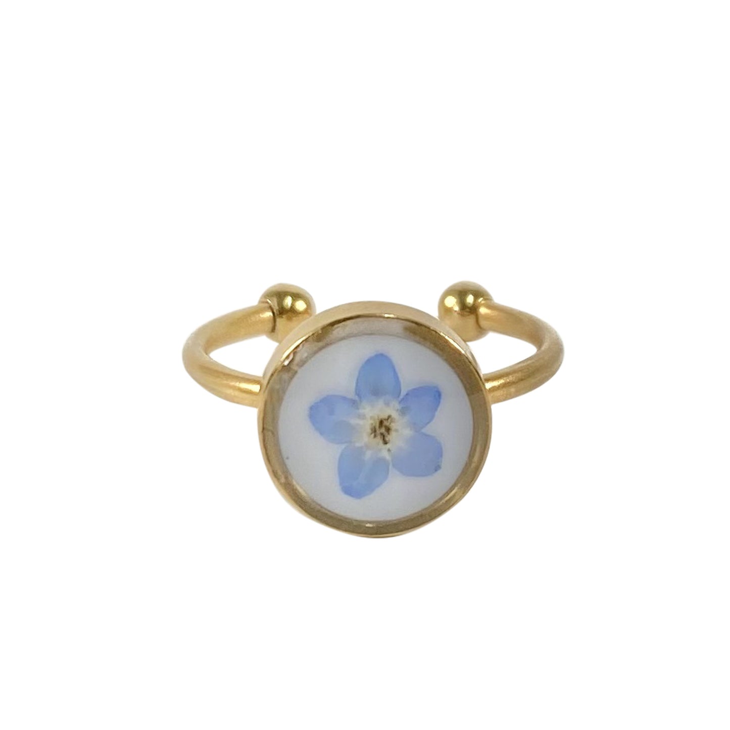 Natural Myosotis Dried Flower Stainless Steel Rings