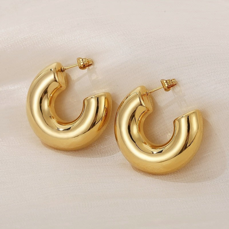 Women's Female High-grade Geometric Type Accessories Frosty Earrings