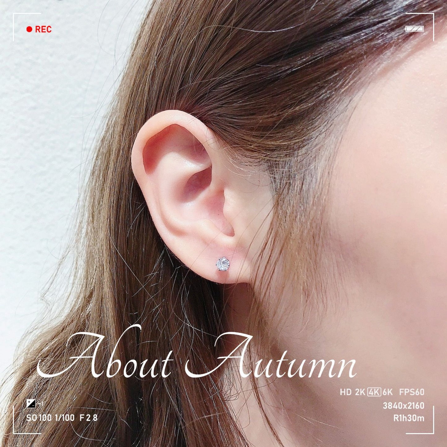Piercing Master Zircon Sier Needle Gold Earrings