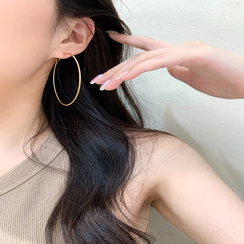 Style Exaggerated Big Circle Simple Niche Earrings