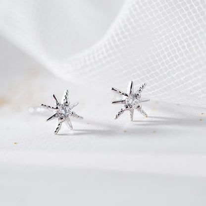 Women's Sterling Sier Korean Style Super Shiny Earrings