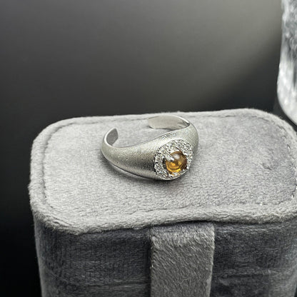 Women's Brushed Tigereye Micro Setting Court Style Geometric Design Refined Rings