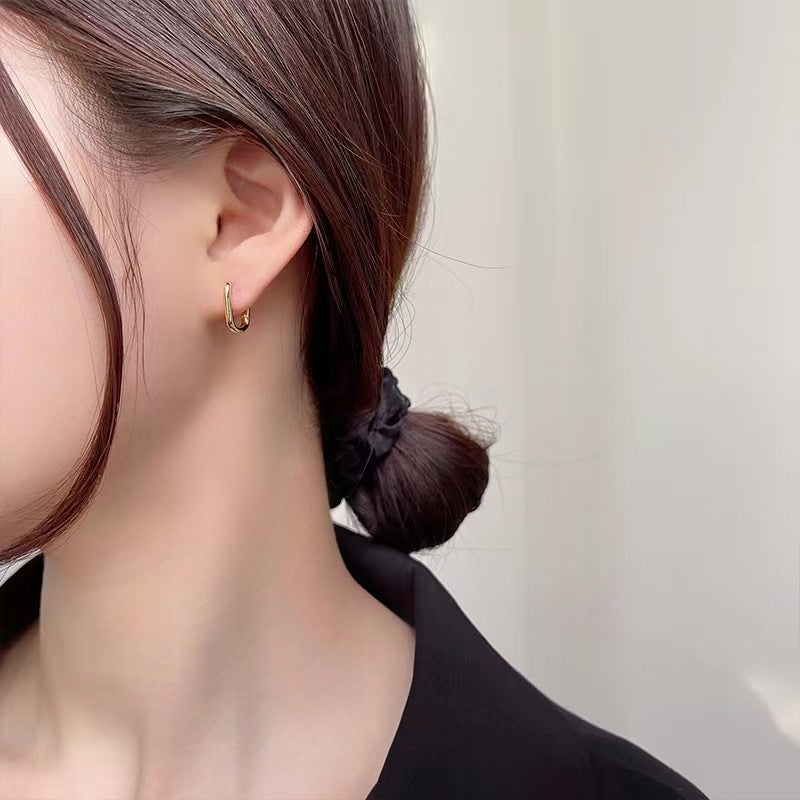 Women's Zircon Ear Niche Design Advanced Cold Earrings