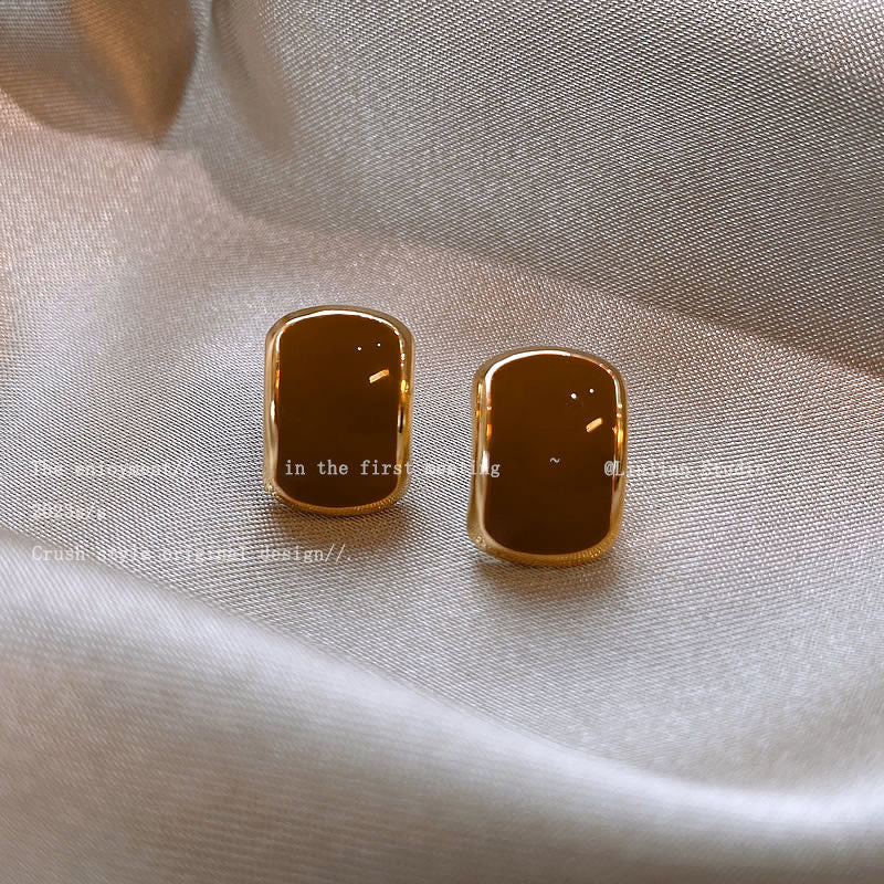 Women's Retro Coffee Color Metal Niche Design Earrings