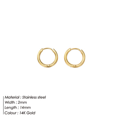 Stainless Steel Ear Gold Plated Jewelry Earrings