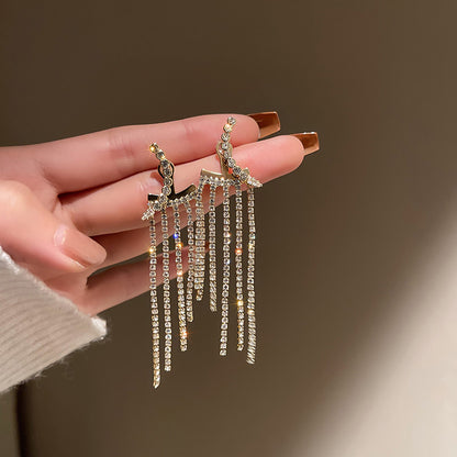 Sier Needle Metal Tassel Female Exaggerated Earrings