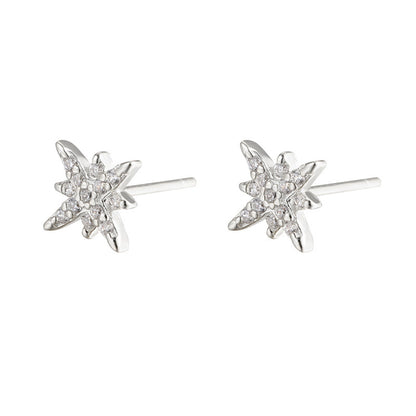 Star Female Special Interest Light Luxury Elegant Earrings