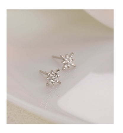 Star Female Special Interest Light Luxury Elegant Earrings