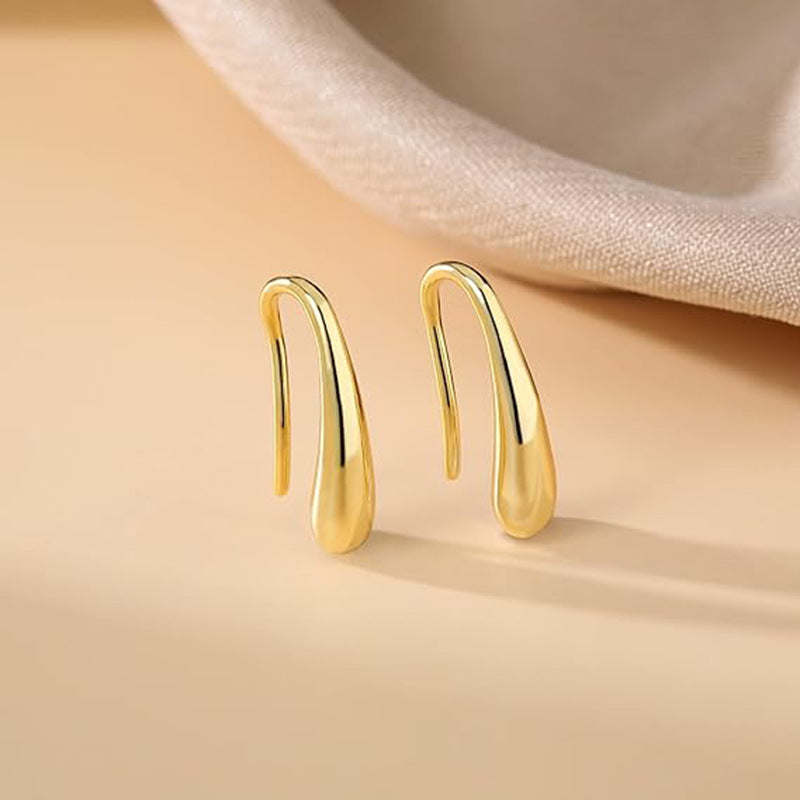 Niche Tassel Fashion Classic Thread Teardrop Back Earrings