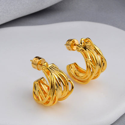 High-grade Light Luxury Design Shaped Irregular Earrings