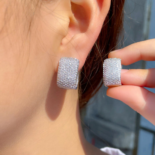 Style Ear Trendy Temperament Zircon Shiny Earrings