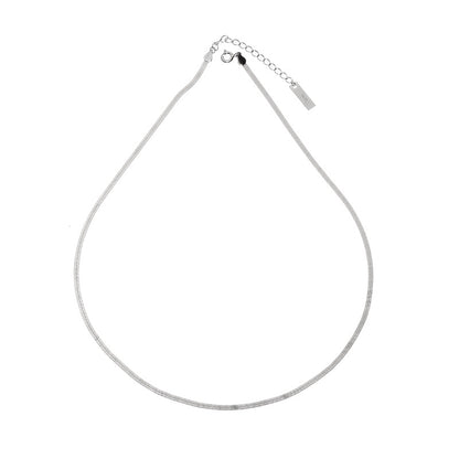 Women's Sier Flat Snake Bones Chain Cold Necklaces