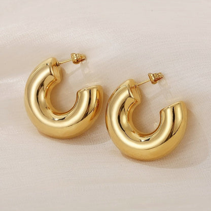 Women's Female High-grade Geometric Type Accessories Frosty Earrings