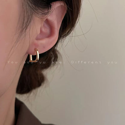 Women's Zircon Ear Niche Design Advanced Cold Earrings