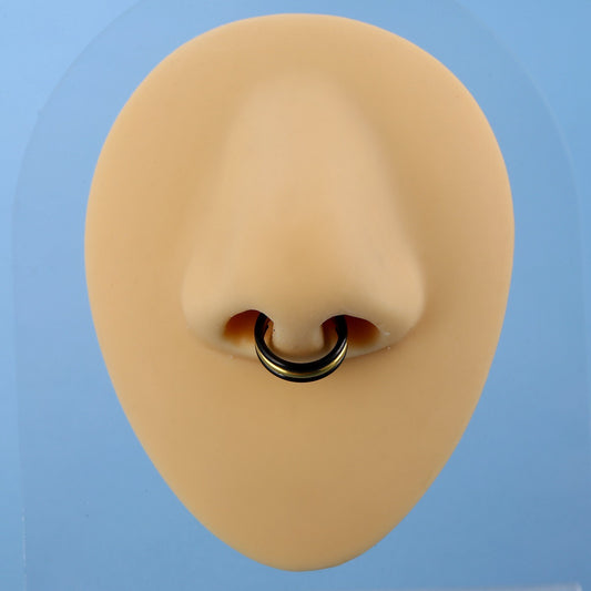 Elegant Nose Titanium Steel With Accessories Earrings