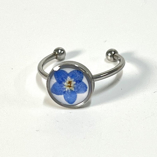 Natural Myosotis Dried Flower Stainless Steel Rings
